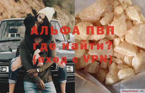прущие грибы Гусиноозёрск