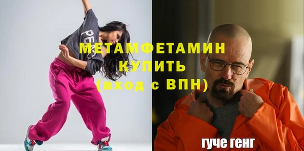 прущие грибы Гусиноозёрск
