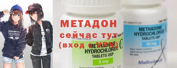 прущие грибы Гусиноозёрск