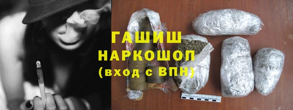 прущие грибы Гусиноозёрск