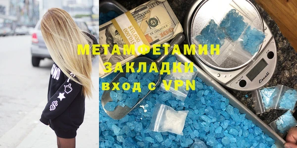 прущие грибы Гусиноозёрск