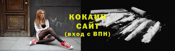 прущие грибы Гусиноозёрск