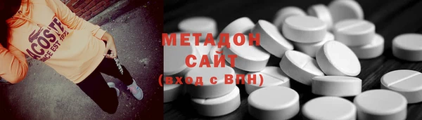 прущие грибы Гусиноозёрск