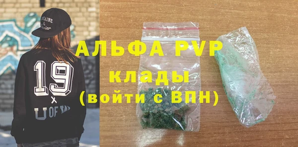 прущие грибы Гусиноозёрск