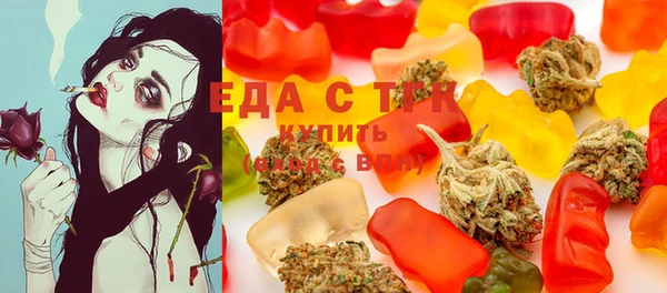 прущие грибы Гусиноозёрск