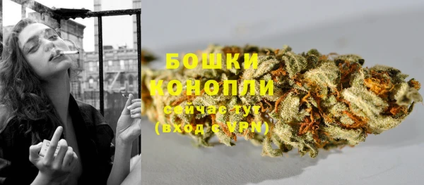 прущие грибы Гусиноозёрск