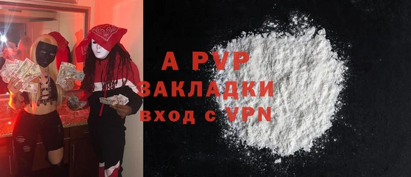 прущие грибы Гусиноозёрск