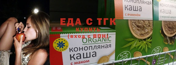 прущие грибы Гусиноозёрск